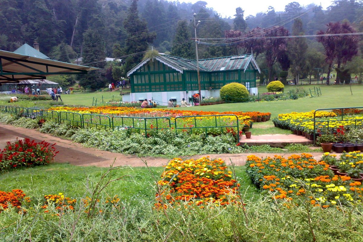Around Ooty