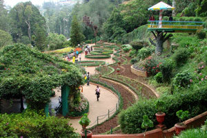 Ooty Resorts,Kotagiri Resorts