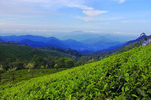 Resorts in South India