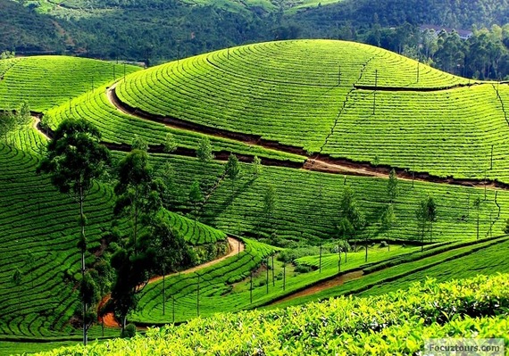 Escape the May Heat: A Scenic Culinary Getaway Perfect for a Holiday Road Trip from Coimbatore