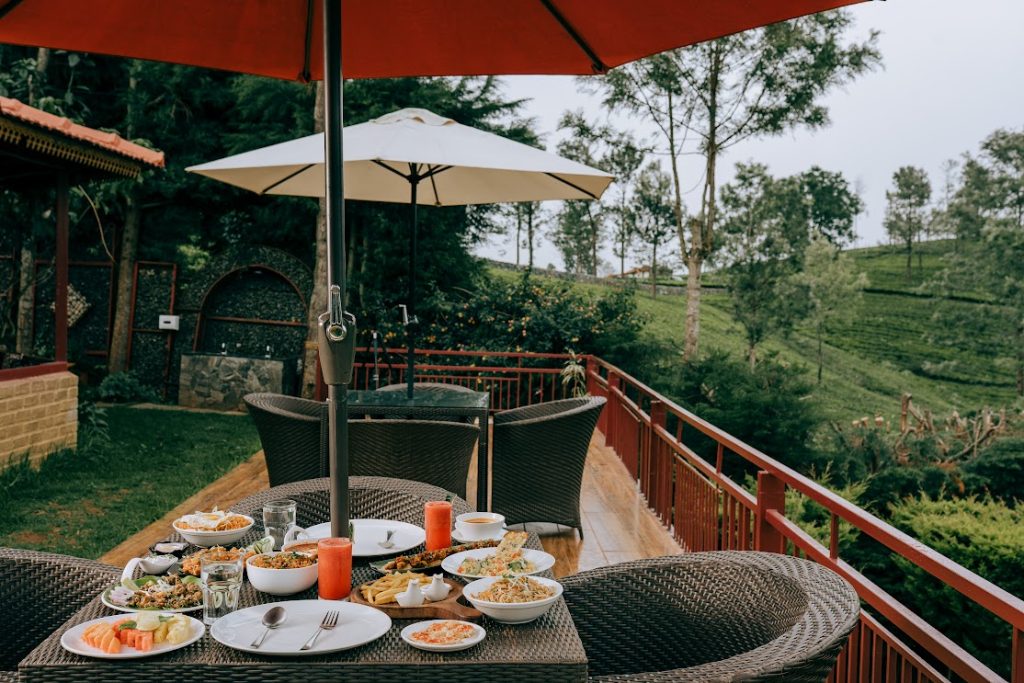 Berrypeckers: Savor the View – Why Dining at a Scenic Café in Kotagiri Feels Like a Mini Getaway