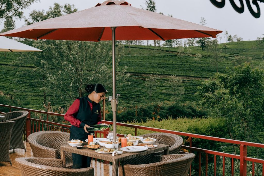 Flavors in Full Bloom: Discover Seasonal Delights and Chef’s Creations at Kotagiri’s Most Talked-About Restaurant